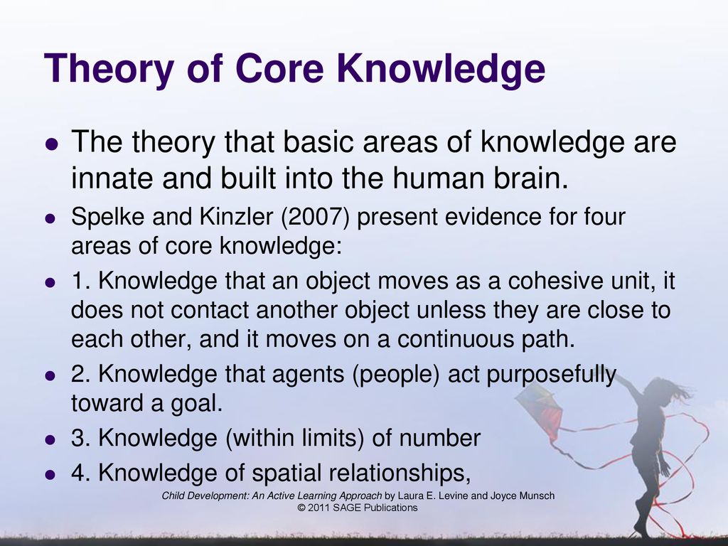 Core knowledge perspective 2025 of cognitive development